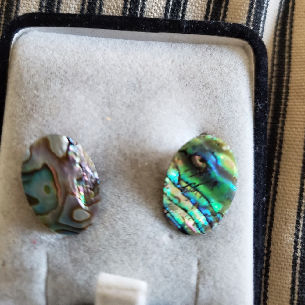 Abalone shell clip on earrings